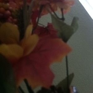 Meet your Posher, Lizbeth